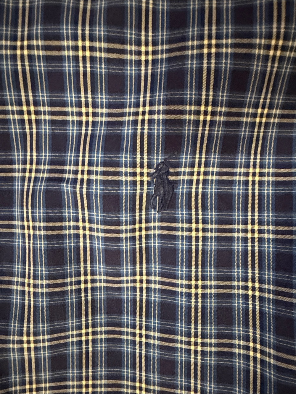 Ralph Lauren Navy and Light Blue Plaid Button-Down Shirt